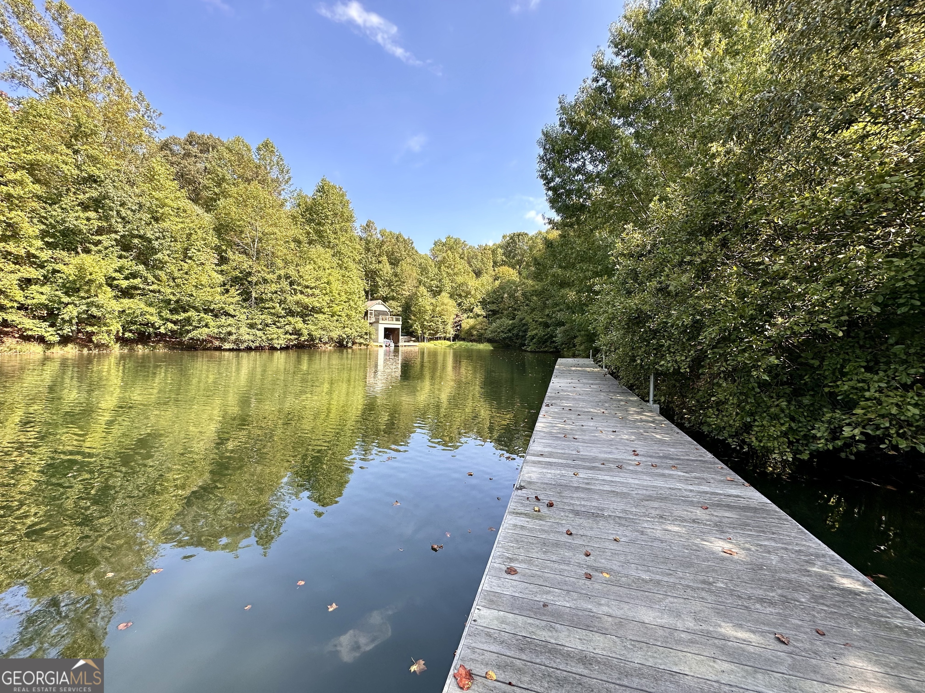 0 Forked Leaf Road, Unit 29 Cleveland, GA 30528 - Photo 32 of 39 a view of a lake with a outdoor space