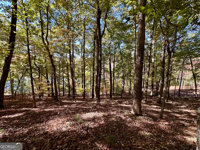 $299,000 | 0 Forked Leaf Road, Unit 29, Cleveland, GA 30528