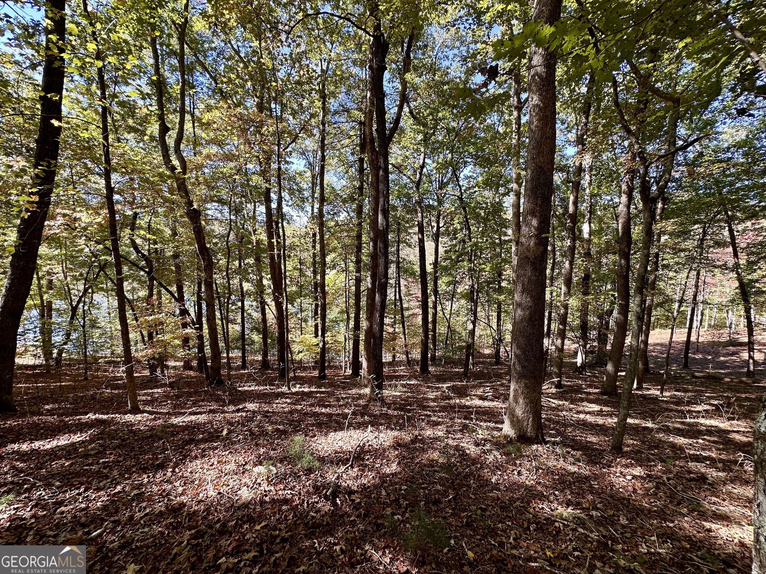 0 Forked Leaf Road, Unit 29 Cleveland, GA 30528 - Photo 4 of 39