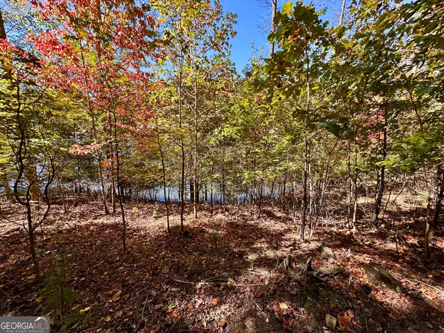 $299,000 | 0 Forked Leaf Road, Unit 29, Cleveland, GA 30528