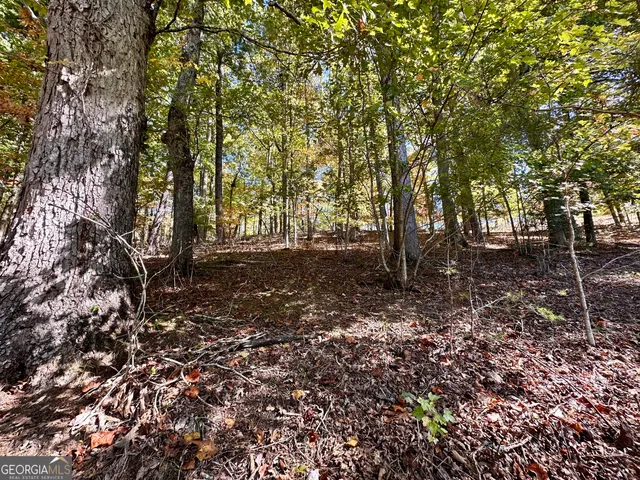 $299,000 | 0 Forked Leaf Road, Unit 29, Cleveland, GA 30528