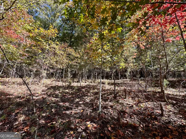 $299,000 | 0 Forked Leaf Road, Unit 29, Cleveland, GA 30528