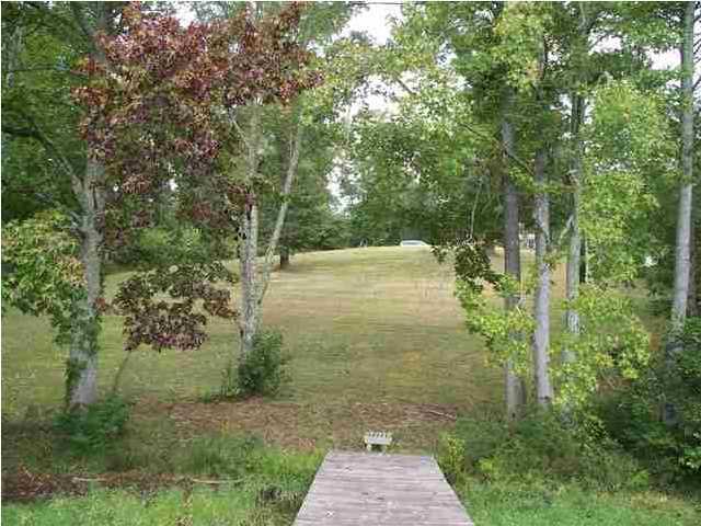 Toestring Cove Rd Rd Spring Spring City, TN 37381 - Photo 2 of 5 lake lot 2