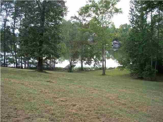 Toestring Cove Rd Rd Spring Spring City, TN 37381 - Photo 3 of 5 lake lot 3