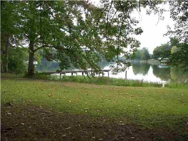 Toestring Cove Rd Rd Spring Spring City, TN 37381 - Photo 4 of 5 lake lot 4