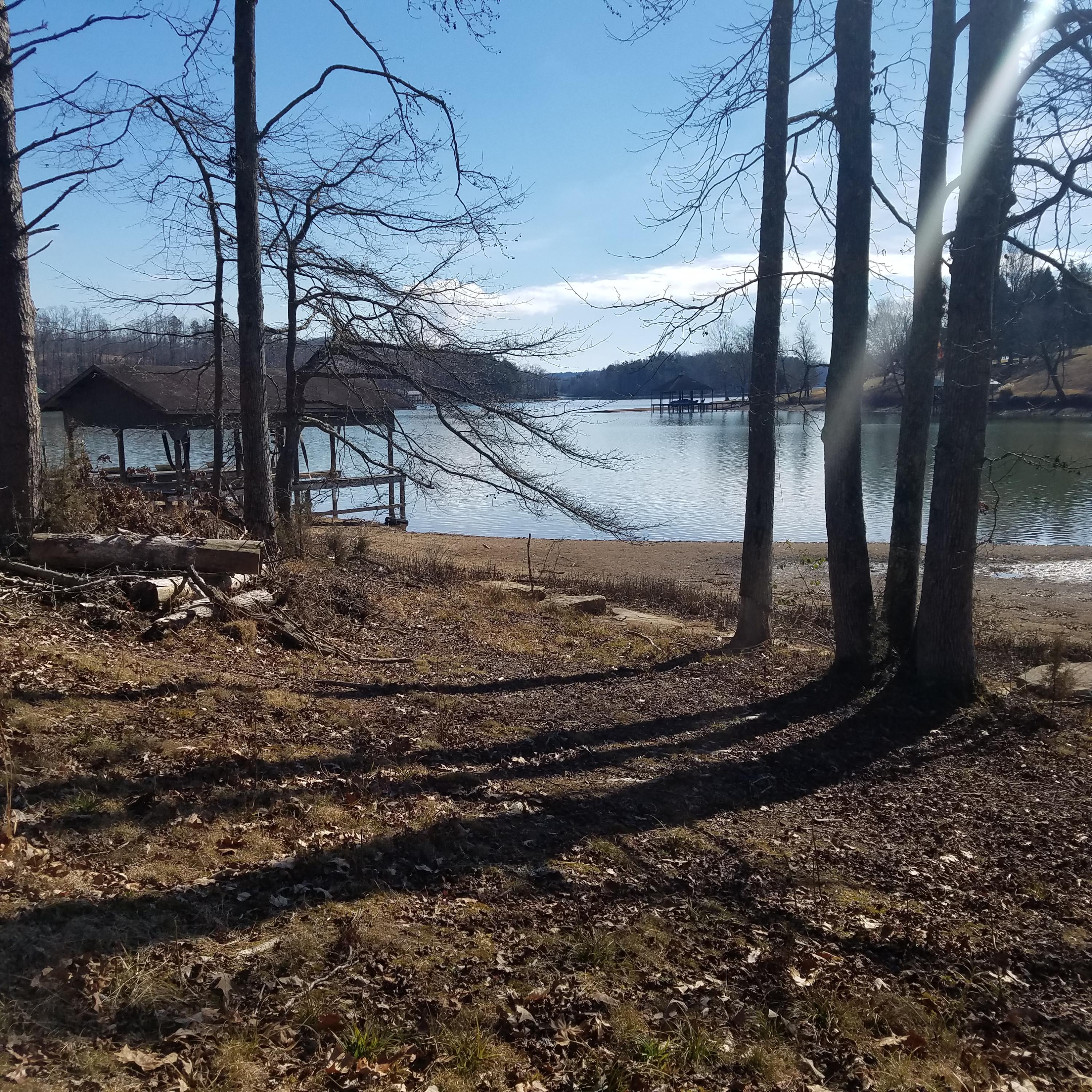 Toestring Cove Rd Rd Spring Spring City, TN 37381 - Photo 5 of 5 20180205_140422