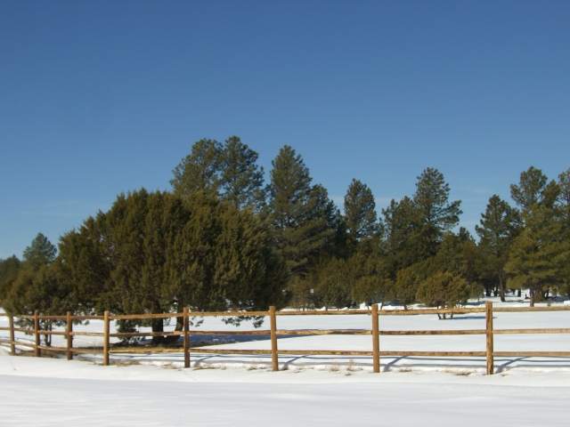 Tbd Tbd Porter Mountain Road Pinetop, AZ 85935 - Photo 1 of 2