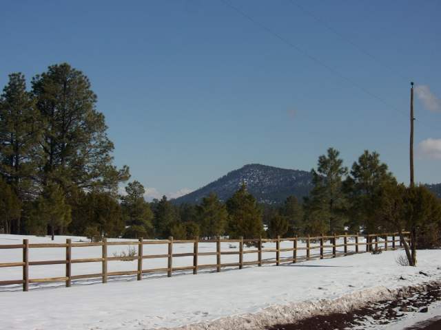 Tbd Tbd Porter Mountain Road Pinetop, AZ 85935 - Photo 2 of 2