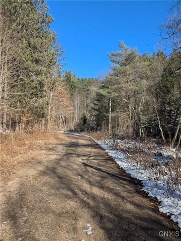 $64,900 | Bellingertown Road, Forestport, NY 13338