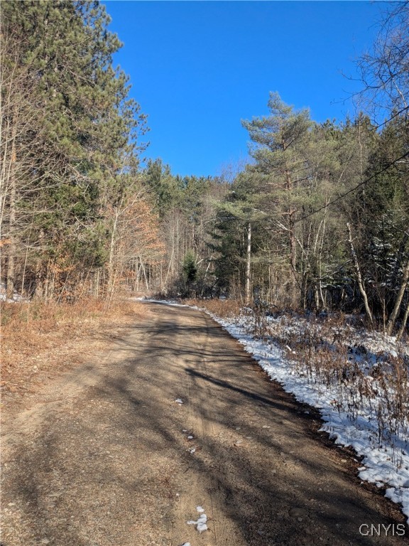 Bellingertown Road Forestport, NY 13338 - Photo 11 of 15