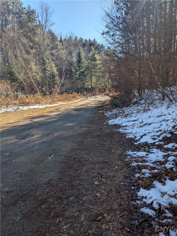 Bellingertown Road Forestport, NY 13338 - Photo 12 of 15