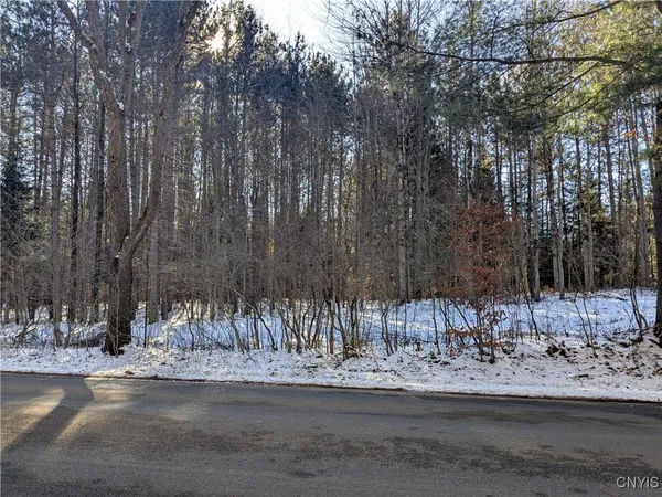 $64,900 | Bellingertown Road, Forestport, NY 13338