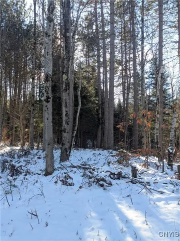 $64,900 | Bellingertown Road, Forestport, NY 13338