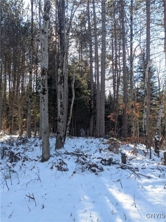 Bellingertown Road Forestport, NY 13338 - Photo 15 of 15