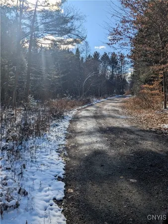 $64,900 | Bellingertown Road, Forestport, NY 13338