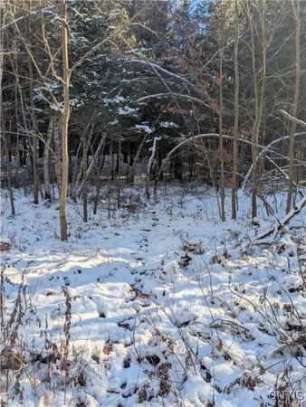 $64,900 | Bellingertown Road, Forestport, NY 13338