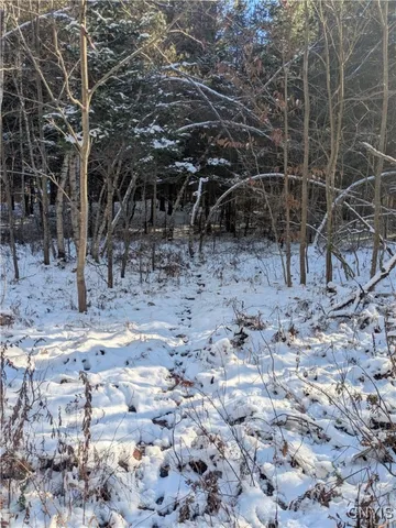 $64,900 | Bellingertown Road, Forestport, NY 13338