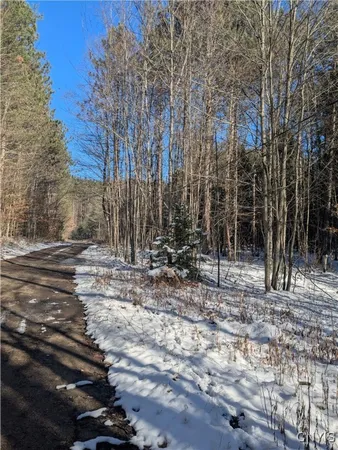 $64,900 | Bellingertown Road, Forestport, NY 13338