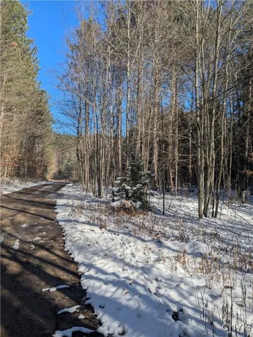$64,900 | Bellingertown Road, Forestport, NY 13338