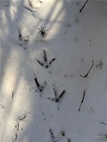 $64,900 | Bellingertown Road, Forestport, NY 13338