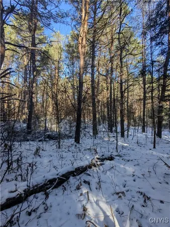 $64,900 | Bellingertown Road, Forestport, NY 13338