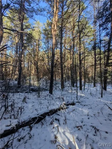 $64,900 | Bellingertown Road, Forestport, NY 13338