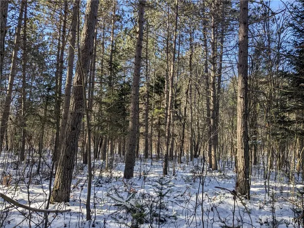 $64,900 | Bellingertown Road, Forestport, NY 13338