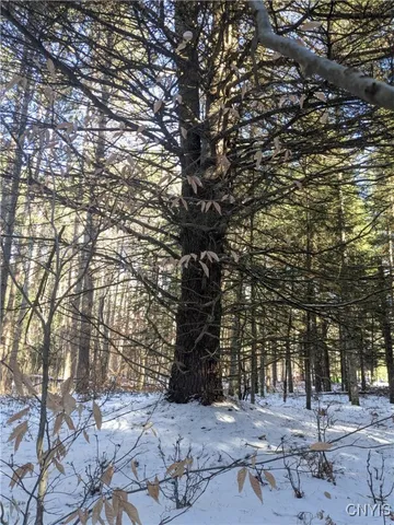 $64,900 | Bellingertown Road, Forestport, NY 13338