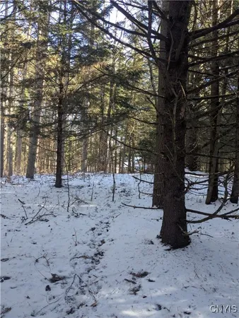 $64,900 | Bellingertown Road, Forestport, NY 13338