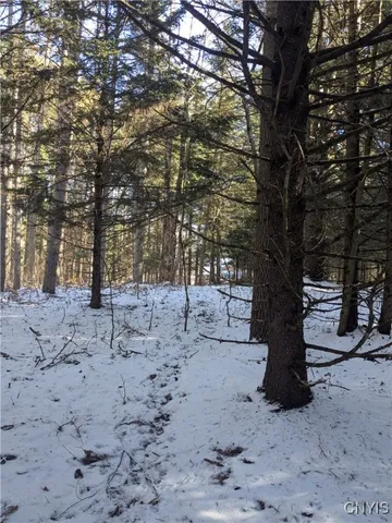 $64,900 | Bellingertown Road, Forestport, NY 13338