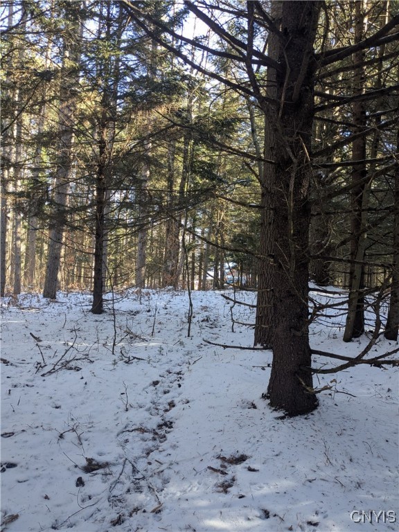 Bellingertown Road Forestport, NY 13338 - Photo 10 of 15