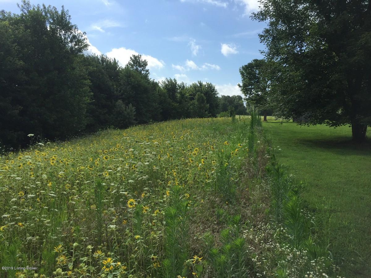 386 Salem Church Road Bee Spring, KY 42207 - Photo 34 of 64 field 3