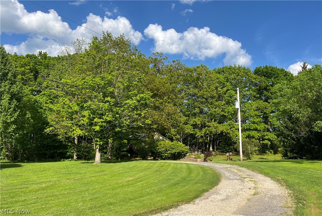 7220 Doty Road Madison, OH 44057 - Photo 8 of 50 View of property's community with a yard