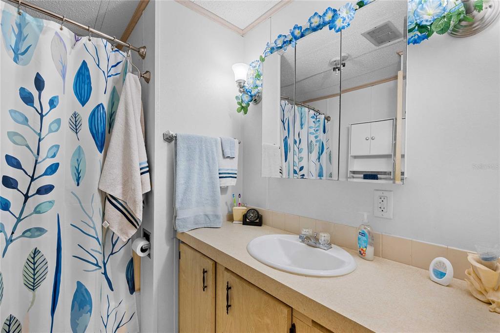 7135 El Dewitt Street Zephyrhills, FL 33541 - Photo 20 of 46 a bathroom with a granite countertop sink a mirror and shower curtain