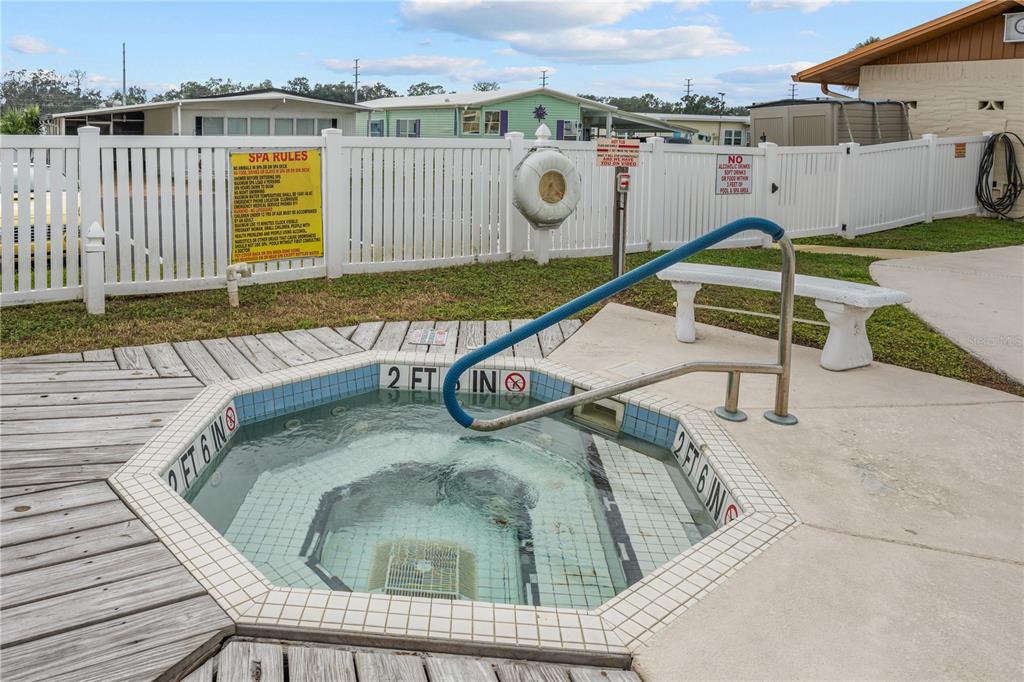 7135 El Dewitt Street Zephyrhills, FL 33541 - Photo 36 of 46 swimming pool view
