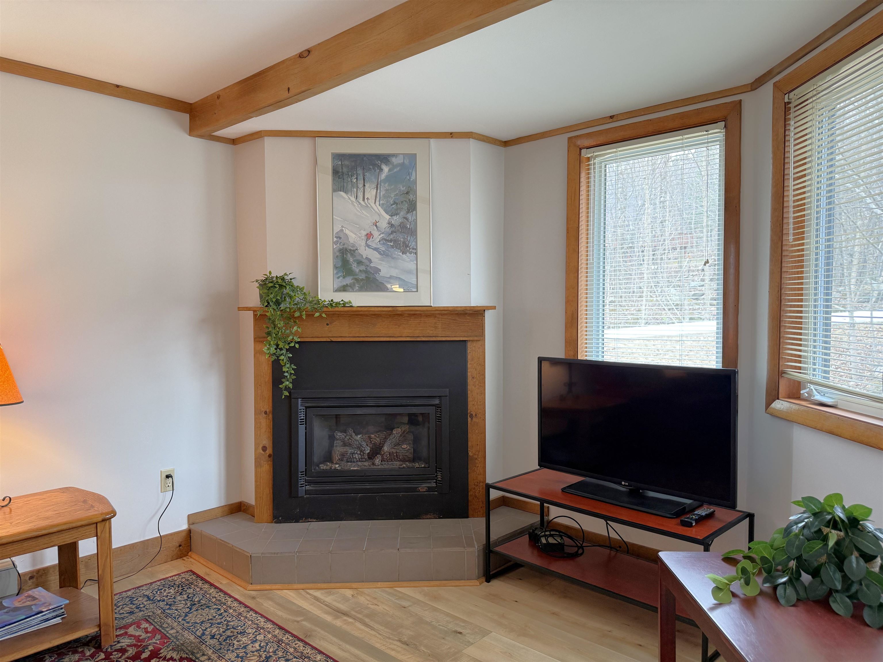 334 Slopeside Road, Unit 4001 Jay, VT 05859 - Photo 13 of 19