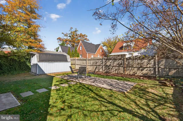 a view of a yard with plants and large trees
