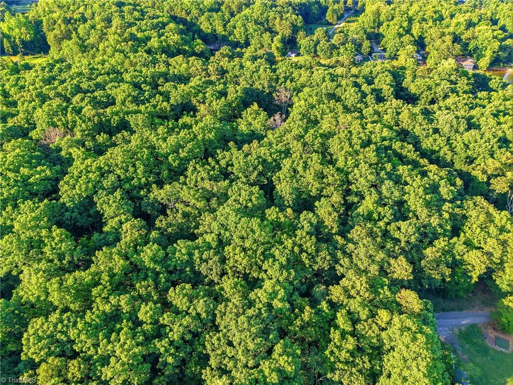 Roy Coppley Road Lexington, NC 27292 - Photo 15 of 29