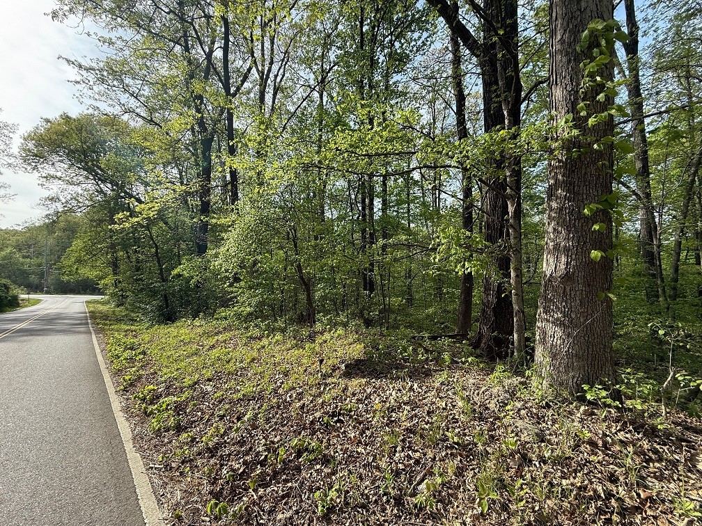 0 Garton Road Burns, TN 37029 - Photo 1 of 20 a view of a yard with plants and large trees