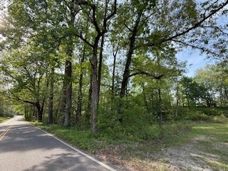 0 Garton Road Burns, TN 37029 - Photo 11 of 20 a view of a forest with trees in the background