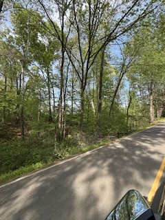 0 Garton Road Burns, TN 37029 - Photo 13 of 20 a view of a street view with large trees