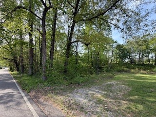 0 Garton Road Burns, TN 37029 - Photo 3 of 20 a view of a forest with trees