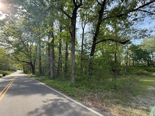 0 Garton Road Burns, TN 37029 - Photo 4 of 20 a view of a road with trees in the background