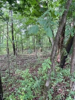 0 Garton Road Burns, TN 37029 - Photo 8 of 20 a view of a lush green forest