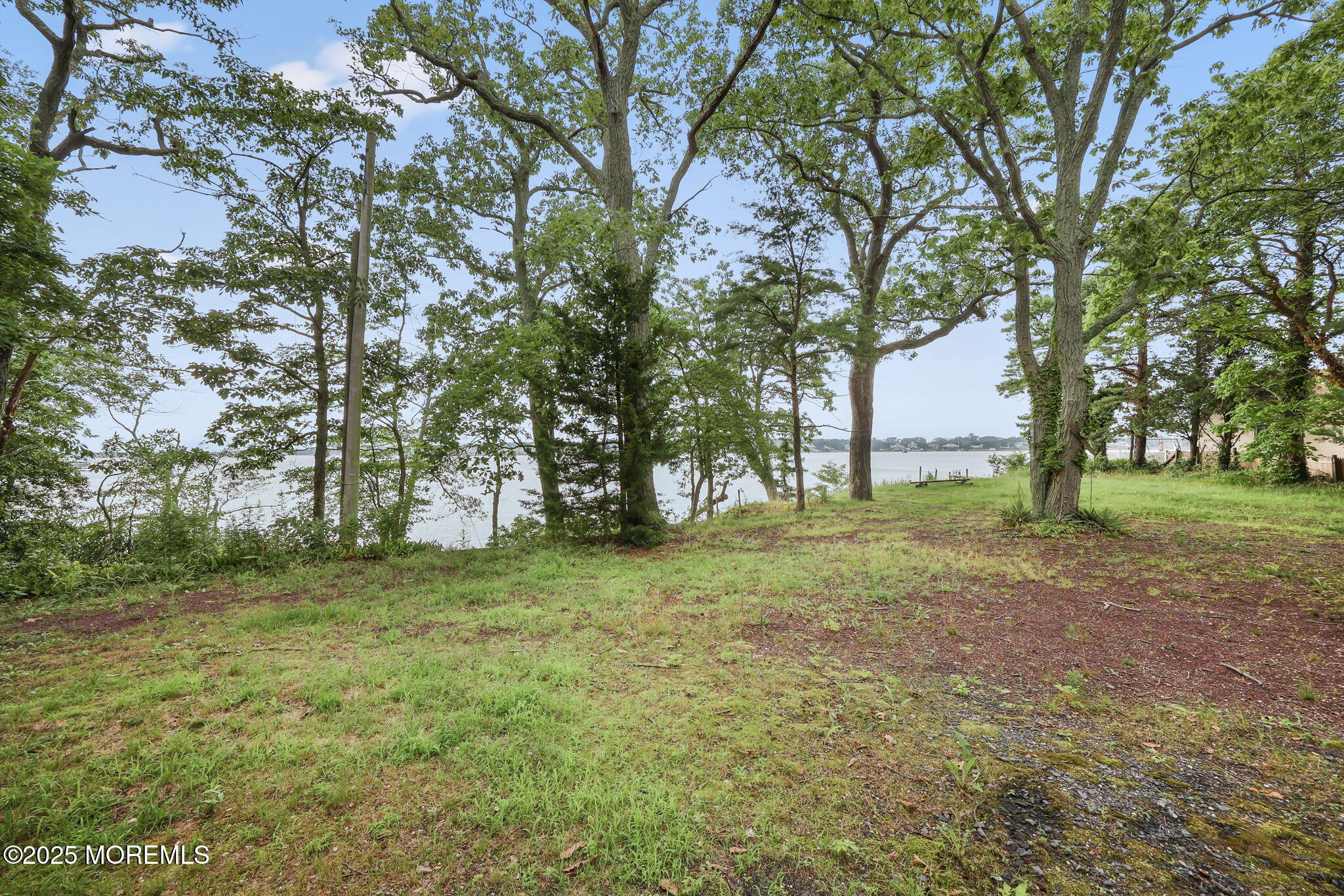 10 West Riverside Drive Brick, NJ 08723 - Photo 48 of 66 a view of a tree in a yard