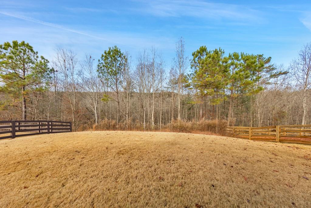276 Brookstone Trail Dawsonville, GA 30534 - Photo 35 of 44 a view of outdoor space with trees