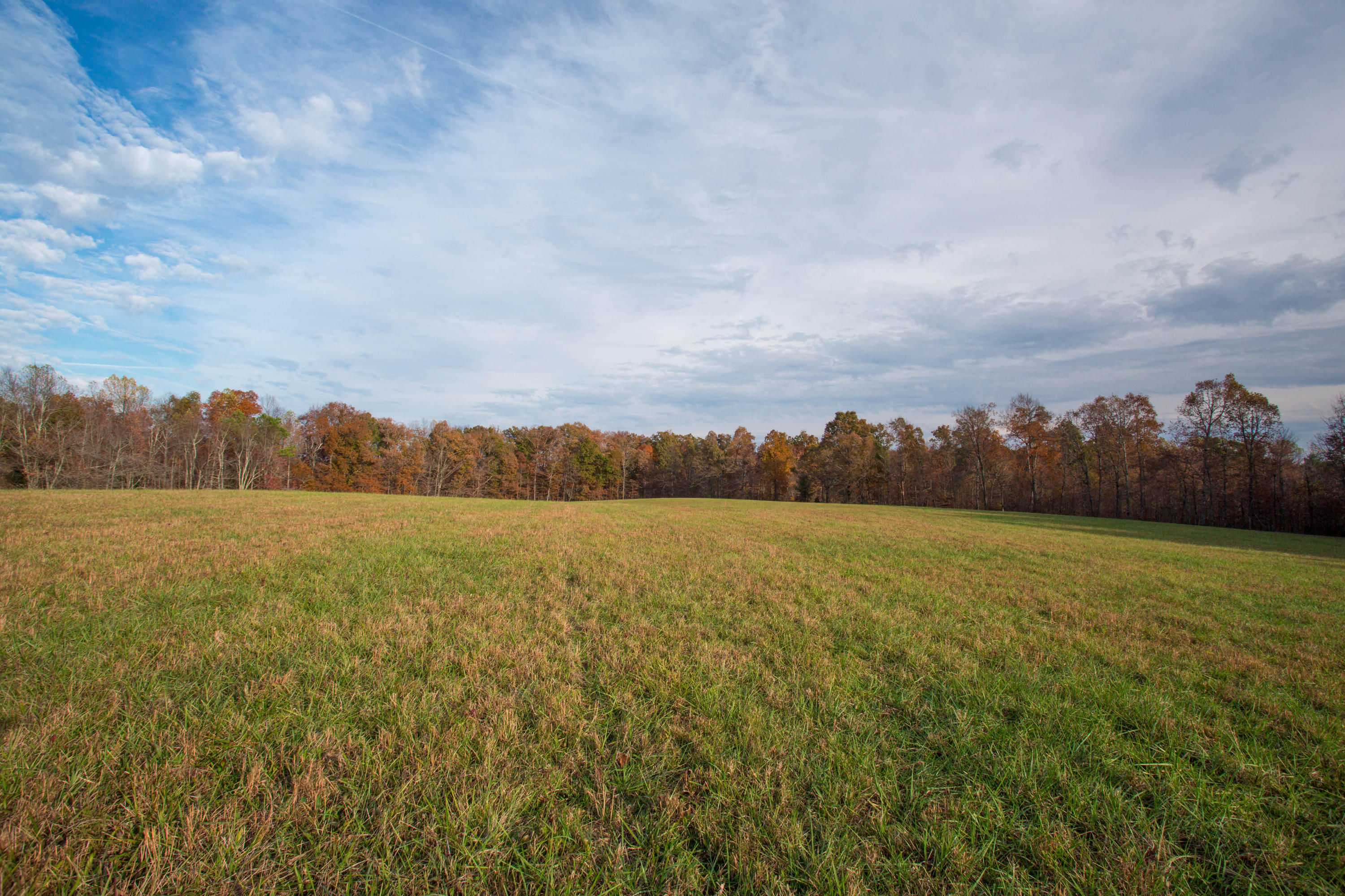 Funnel Creek Road Crossville, TN 38571 - Photo 14 of 23 6 (19 of 27)