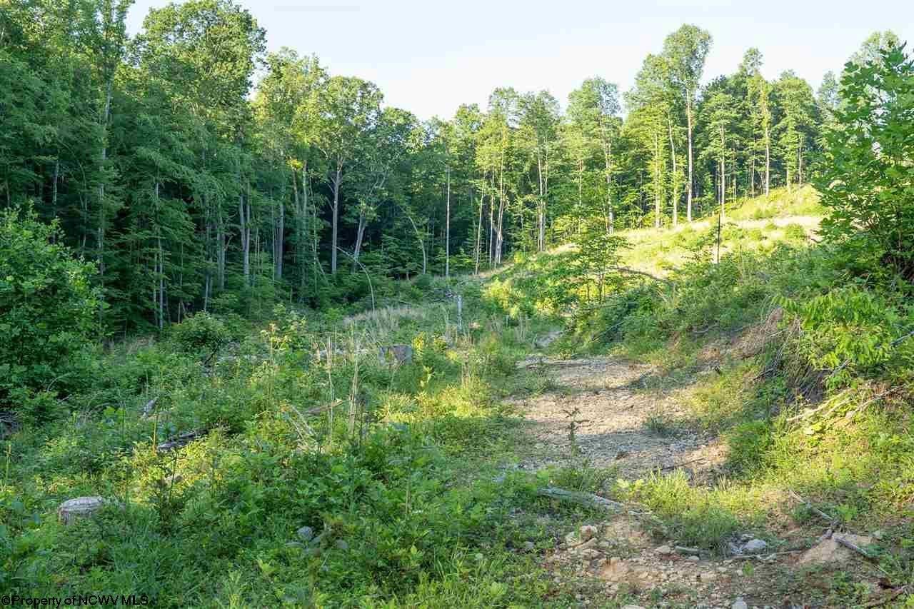 Tbd Hunter Ridge Road Rock Cave, WV 26234 - Photo 15 of 20 Gallery Image 15