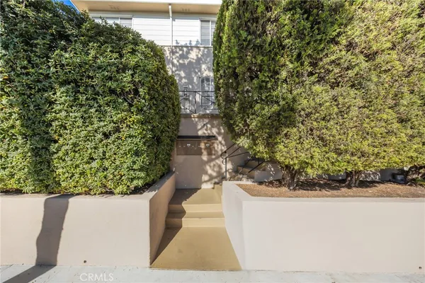 a view of a yard with plants
