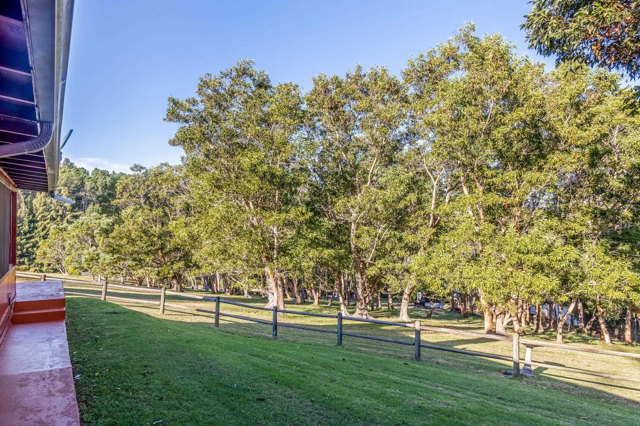 2640 Olinda Road Makawao, HI 96768 - Photo 14 of 49 a view of yard with grass and trees